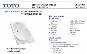 Bồn tắm TOTO PAY1570D/DB501R-2B