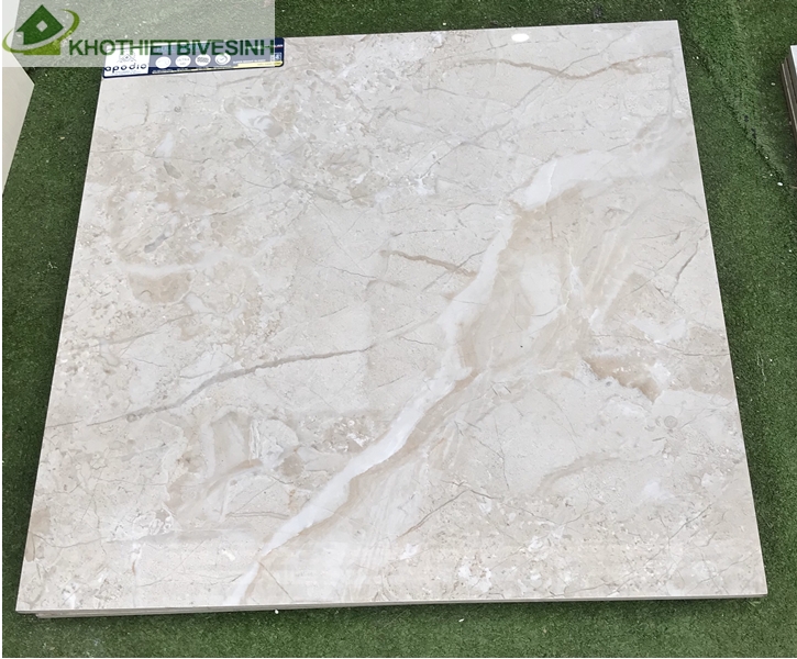 Gạch lát Taicera 60x60cm chất liệu granite