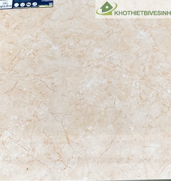Gạch lát Taicera 60x60cm chất liệu granite