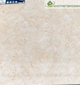 Gạch lát hãng Taicera chất liệu granite 60x60cm