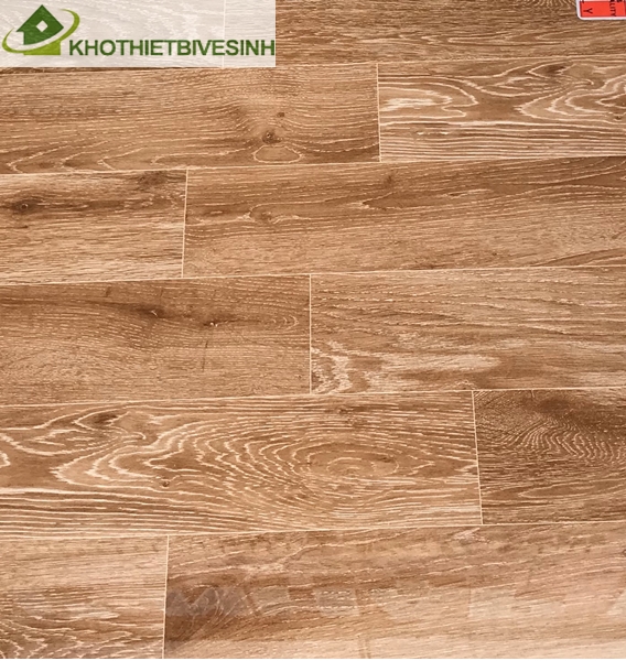 Gạch lát Taicera 60x60cm chất liệu granite